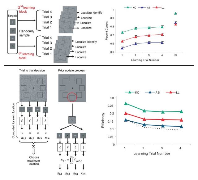 improving visual representation learning through perceptual understanding