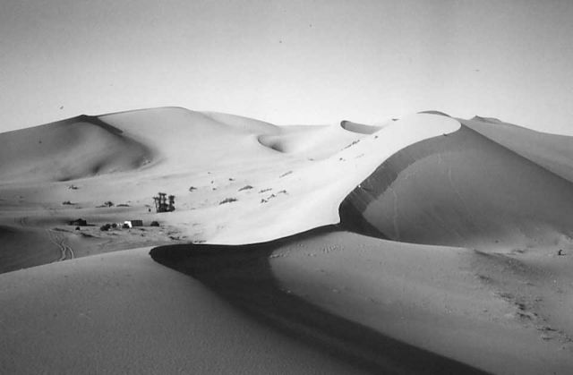 Even sand dunes contain rich and complex visual structure. This makes it imperative that we combine coarse peripheral information with prior knowledge in order to intelligently guide our high-resolution fovea when finding (sometimes life-critical) elements.