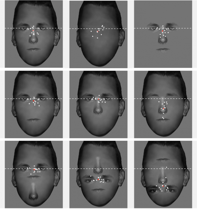 Two New Lab Papers Assess How The Visual Properties Of The Face And The 