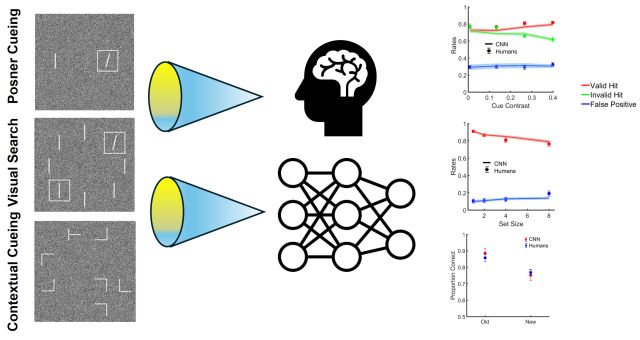 Convolutional neural networks applied to landmark tasks generate behavioral signature of human-like covert attention without any explict built-in mechanism that alters processing at the cued or in context location.