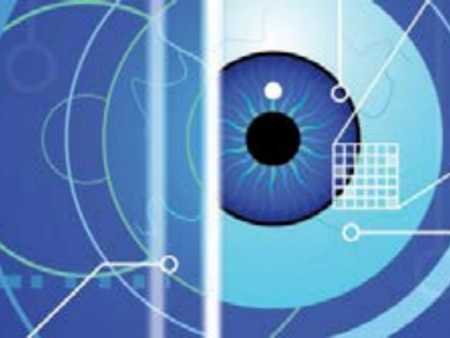 Miguel Eckstein attends NIH Cognition and Medical Image Perception Think Tank