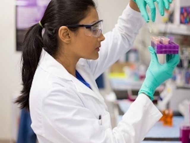 Dutch collaboration for radiologist-AI integration in mammography