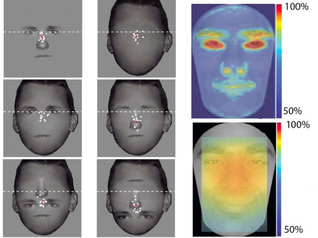 Puneeth and Nicole explore faces